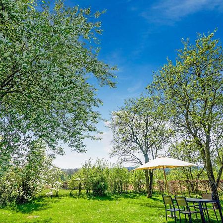 Amazing Holiday Home In Porcheresse Daverdisse With Terrace Dış mekan fotoğraf